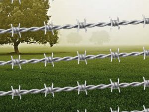 BARBED FENCING WIRE